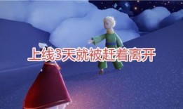 爆料最新光遇,最新爆料揭示神秘生成机制